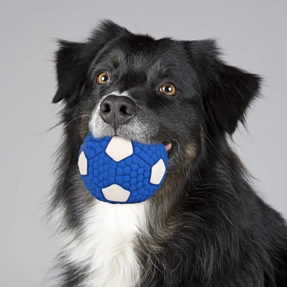 

Puppy Bite Resistance Squeaky Ball Wear-resistant Rugby Baseball Volleyball Interactive Dog Grinding Teeth Pet Training Toy