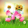 8Pcs Thanks Birthday Postcards DIY Diamond Painting Greeting Cards with Envelopes Partial Special-shaped Drill 5D Mosaic Card 5