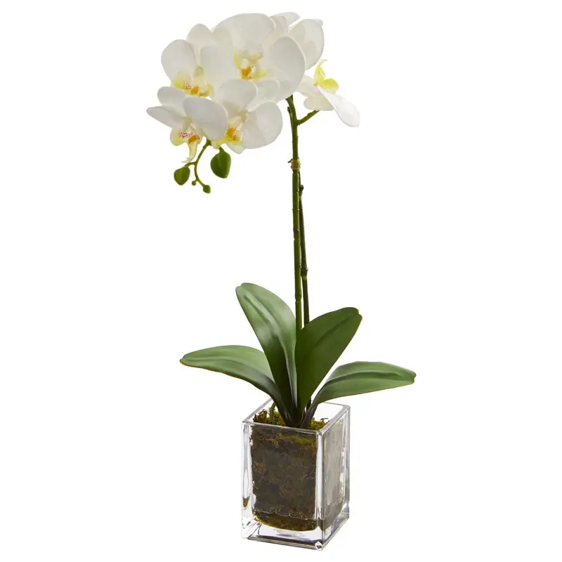 

24" Orchid Phalaenopsis Artificial Flower Arrangement in Vase, Cream