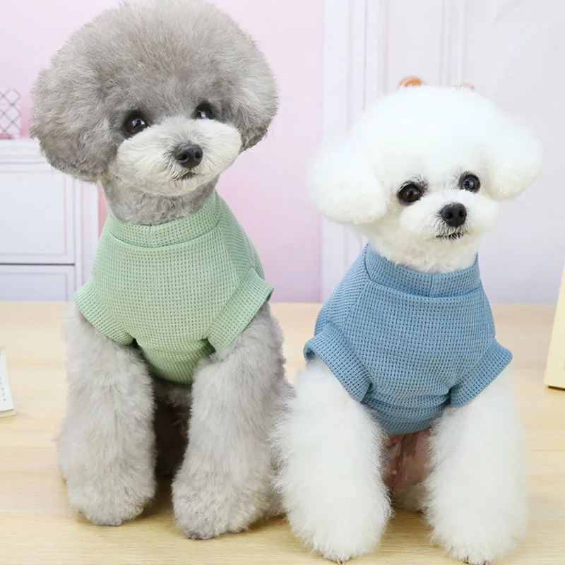 

2023Summer Short Sleeve Tshirt Pet Clothes Puppy Cat Sweatshirt Shirt for Small Dogs Chihuahua PetClothing Mesh Cat Dog Hoodies