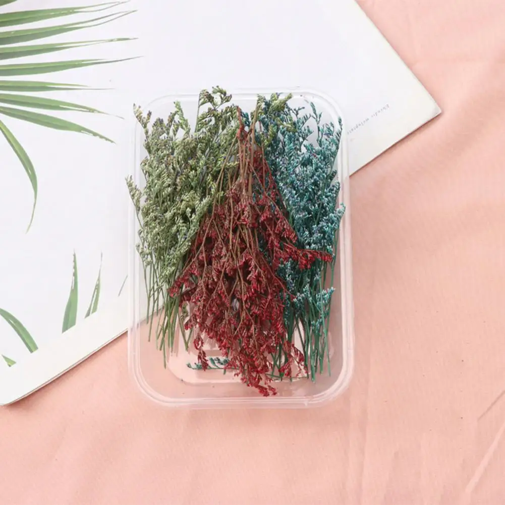 Высушенные цветы натуральные 1 коробка