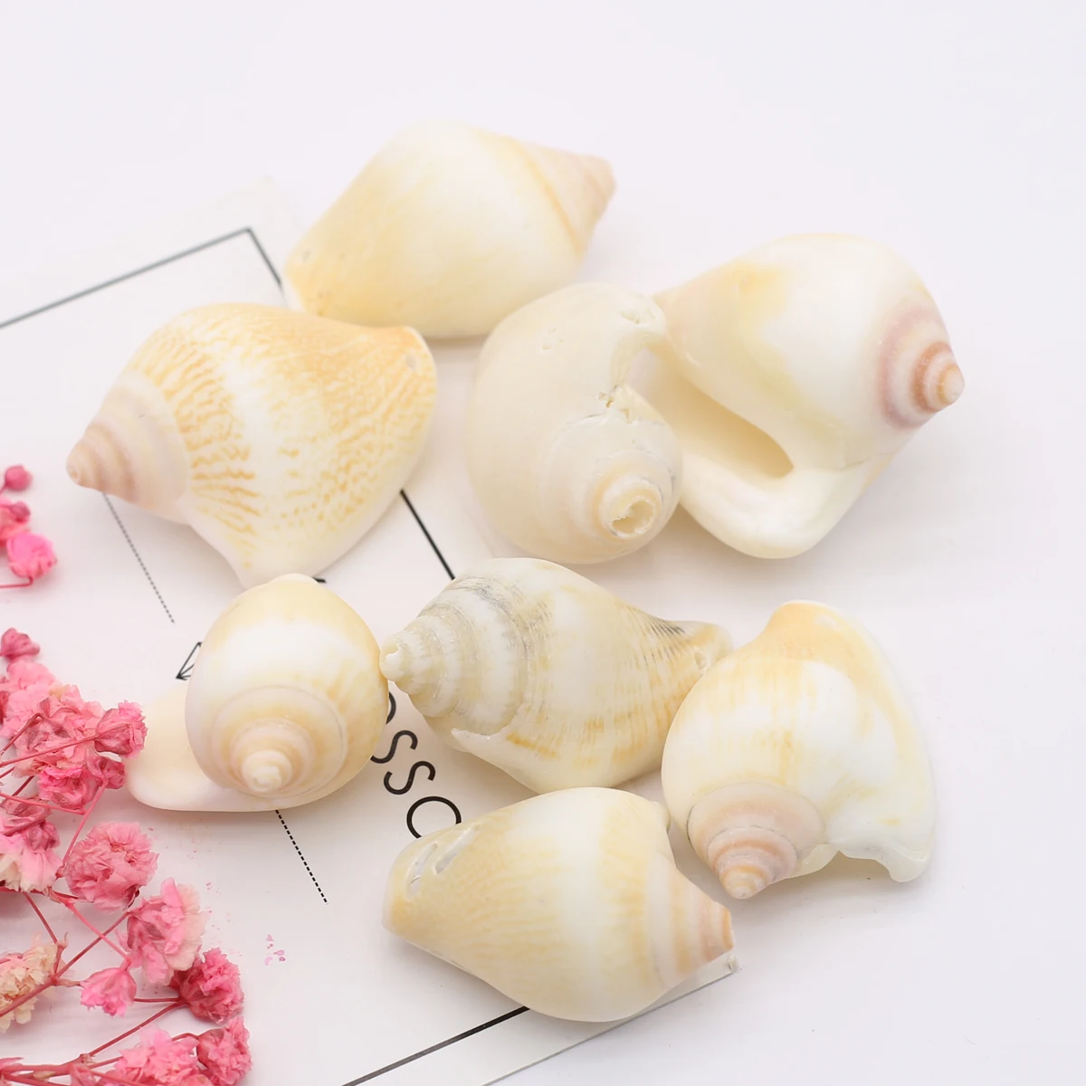 10 шт./лот бусины из натуральной ракушки раковины россыпью для изготовления