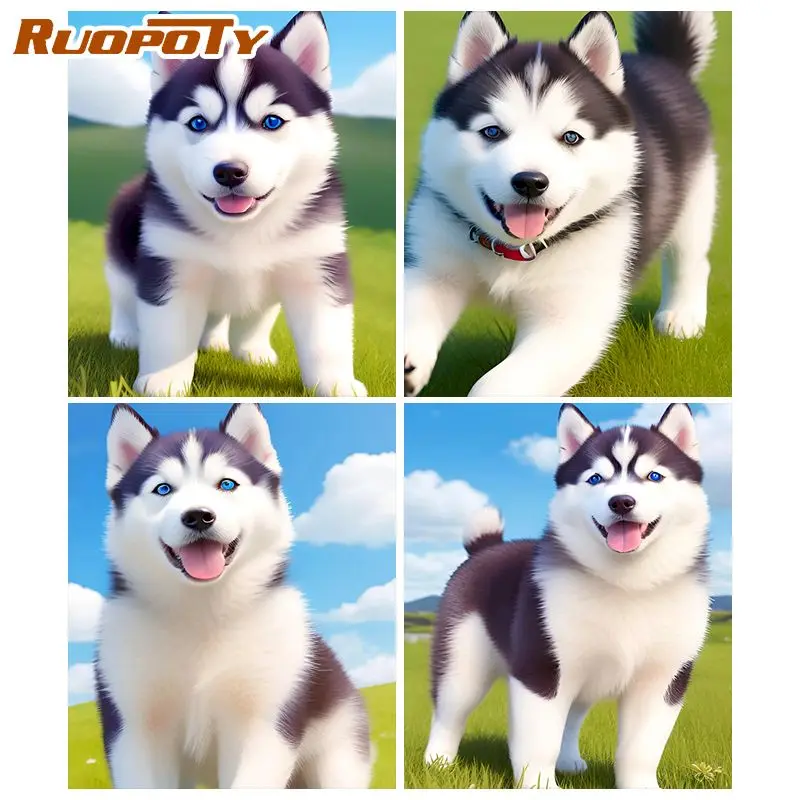 

RUOPOTY Oil Painting By Number Husky Original Gift Painting By Number Animal Painting Wall Decor