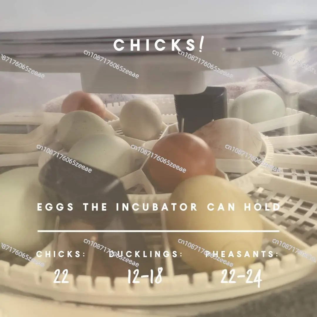 Инкубатор для яиц Manna Pro инкубатор цыплят вмещает 22 яйца