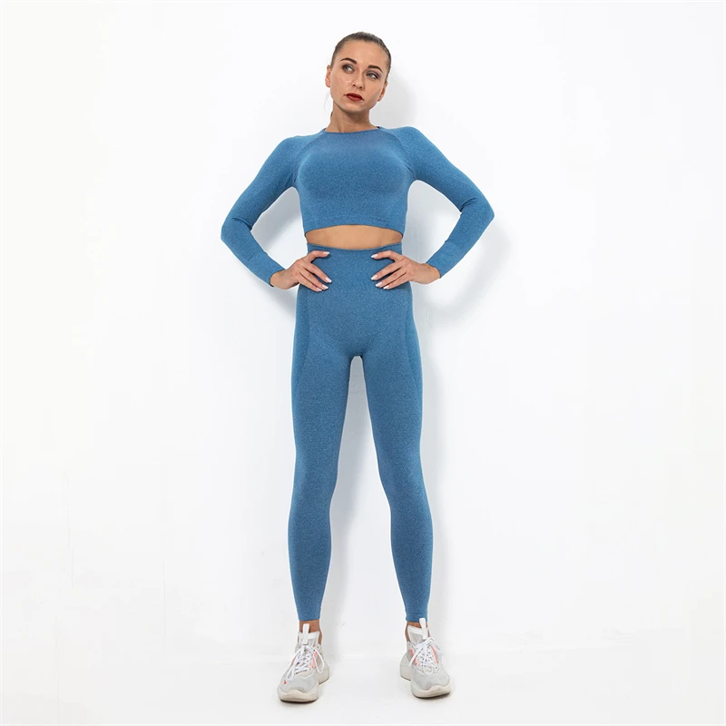 

Solid Women Seamless Yoga Set Gym Clothing Fitness Leggings+Long Shirts Sport Suit Women Long Sleeve Tracksuit Active Wear