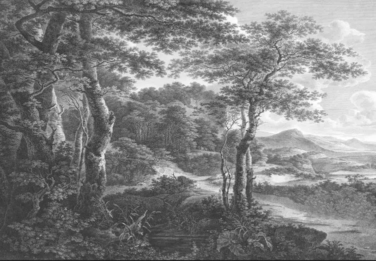 

beibehang шелковые обои 3D черно-белый лес