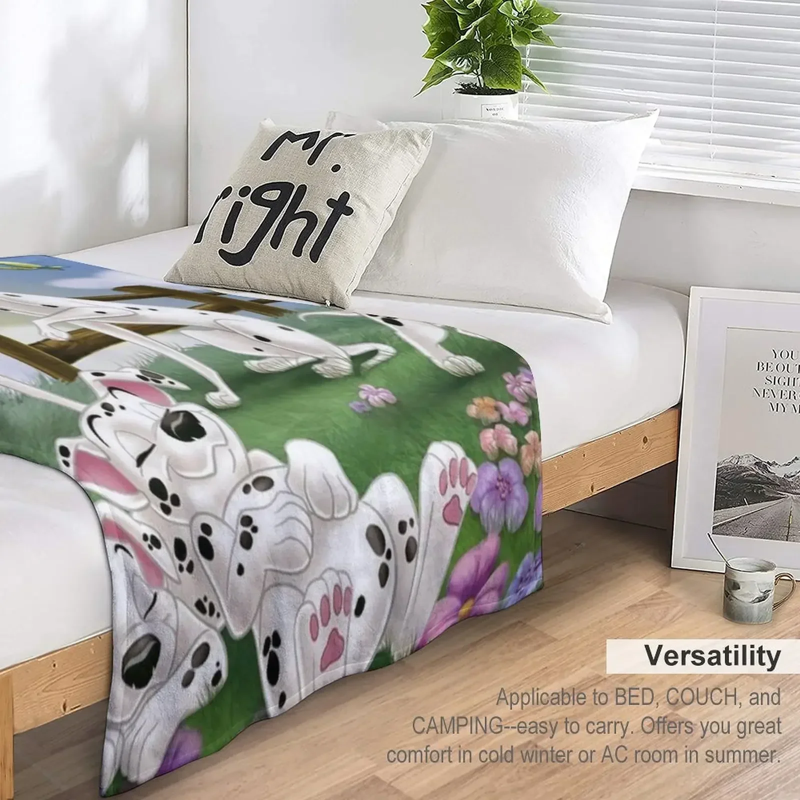 Даламатины и красивый день. Одеяло для гигантского дивана. Волосатые одеяла