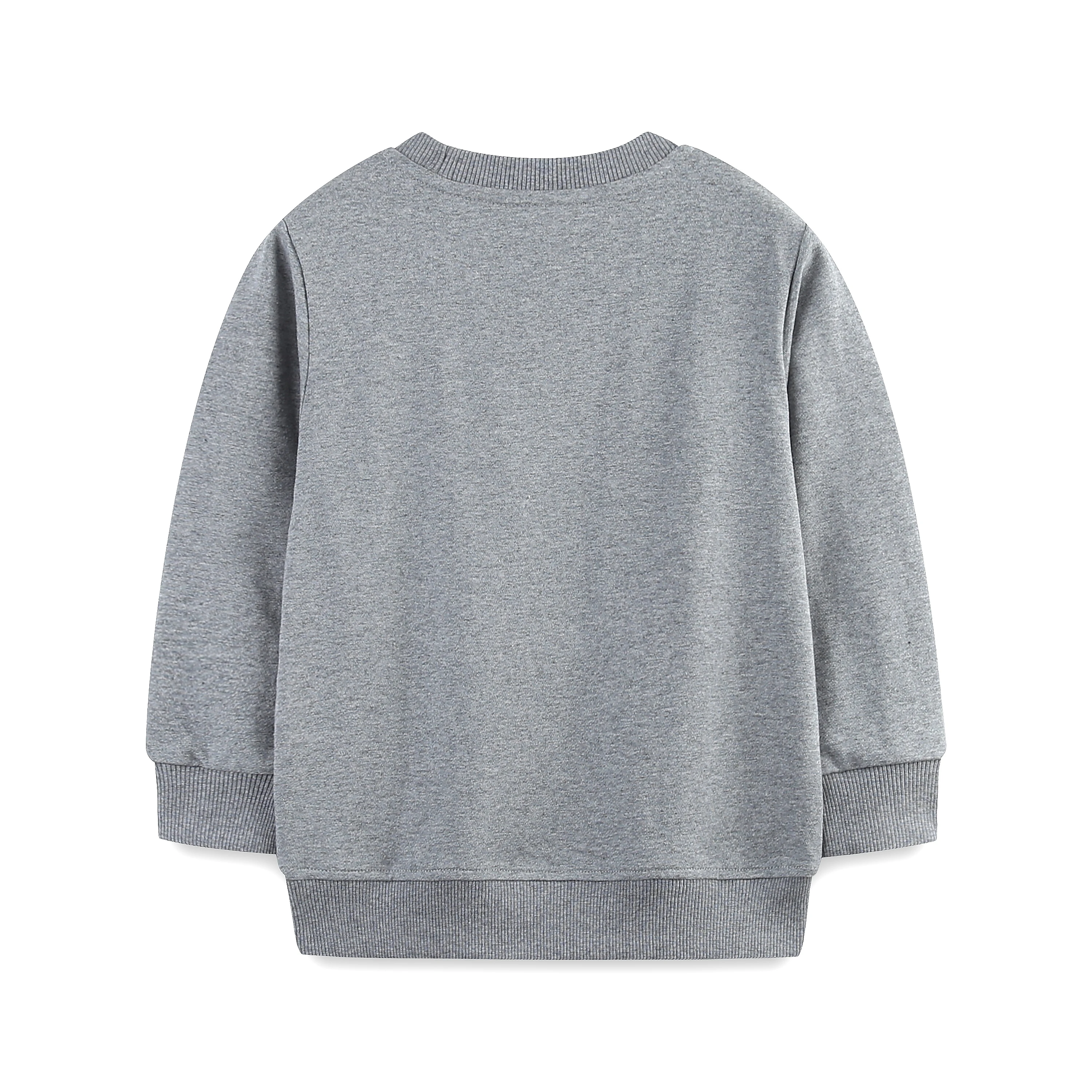 Детский хлопковый свитшот с круглым вырезом принтом