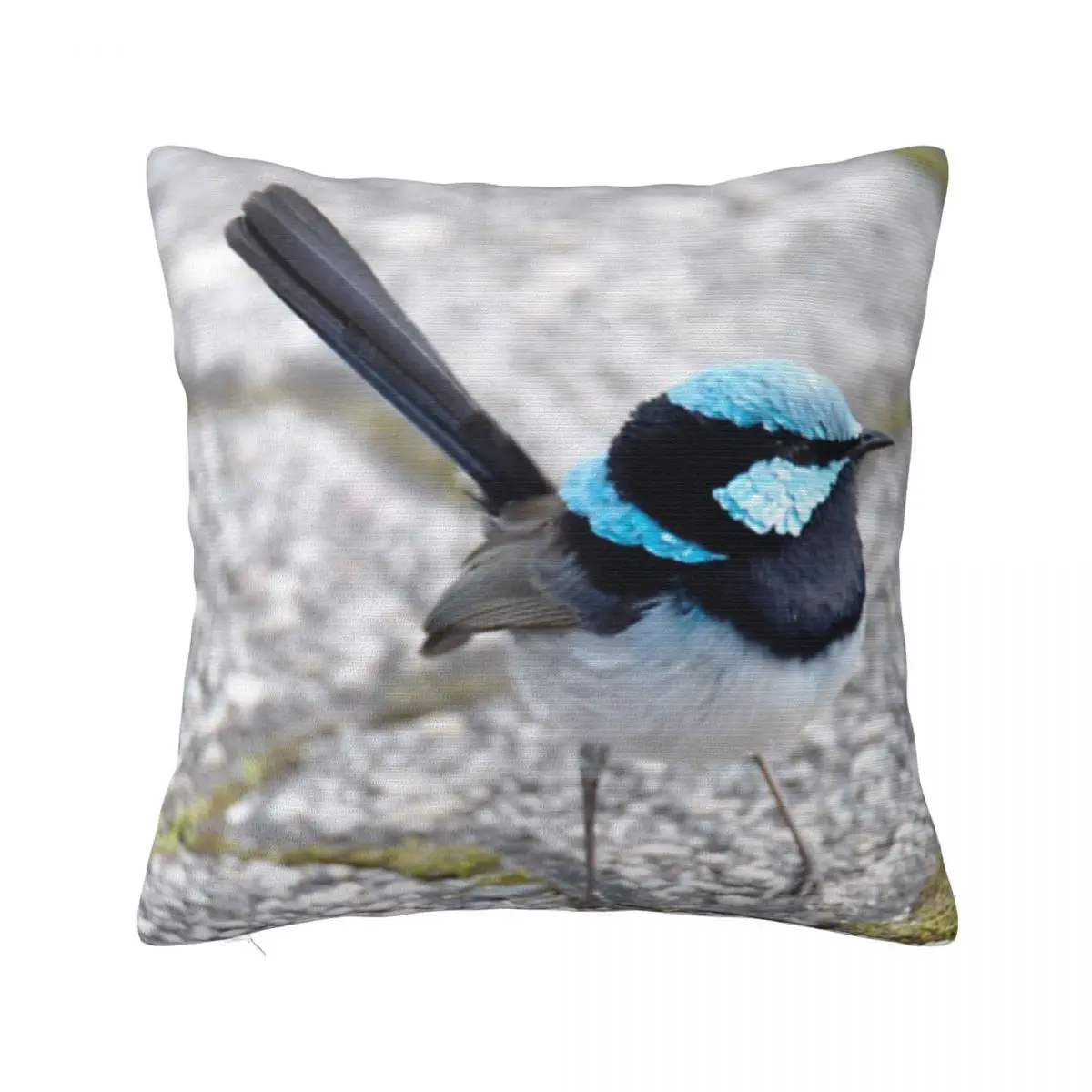 Наволочка Little Blue Fairywren на тротуарке