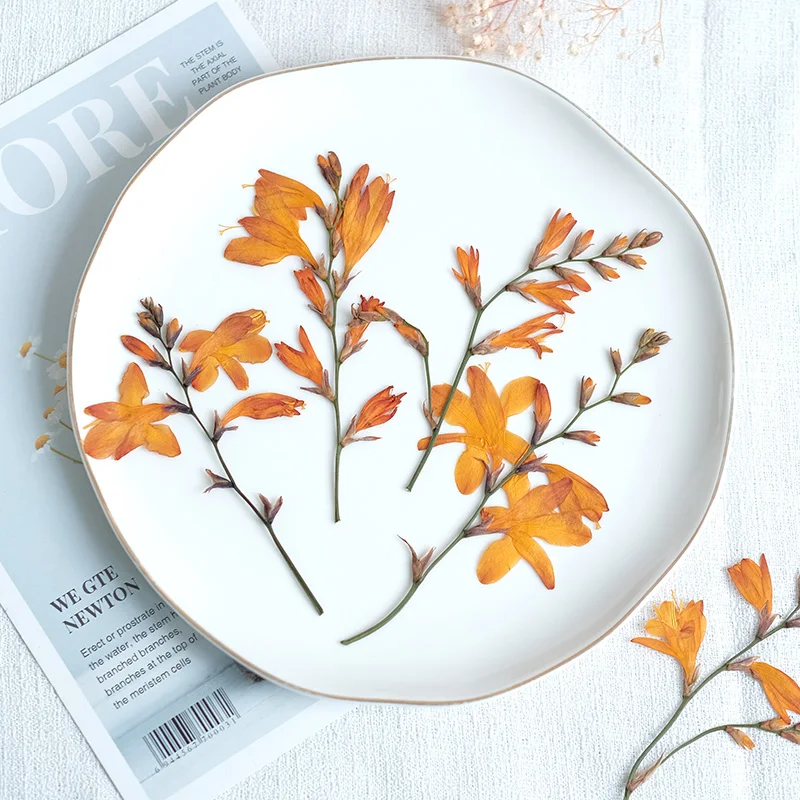 

Декоративные элементы из цветов NYAConfetti