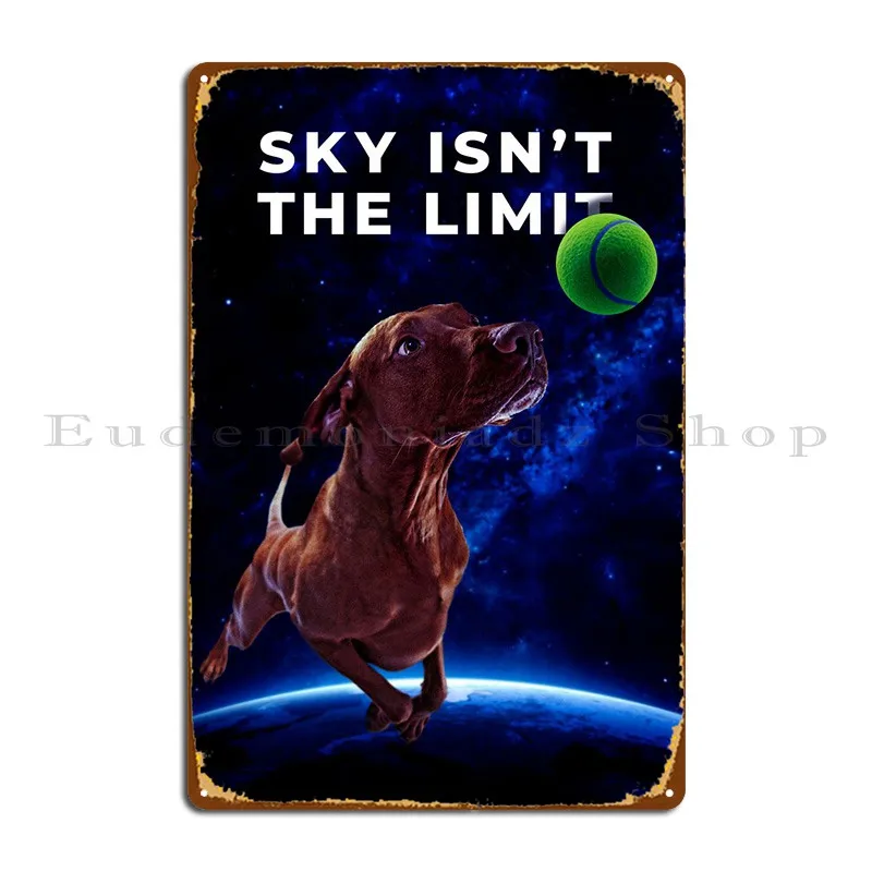 

Собака гонящая мяч в пространстве металлический знак для дома гаража бар гаража проектирование оловянного знака плакат