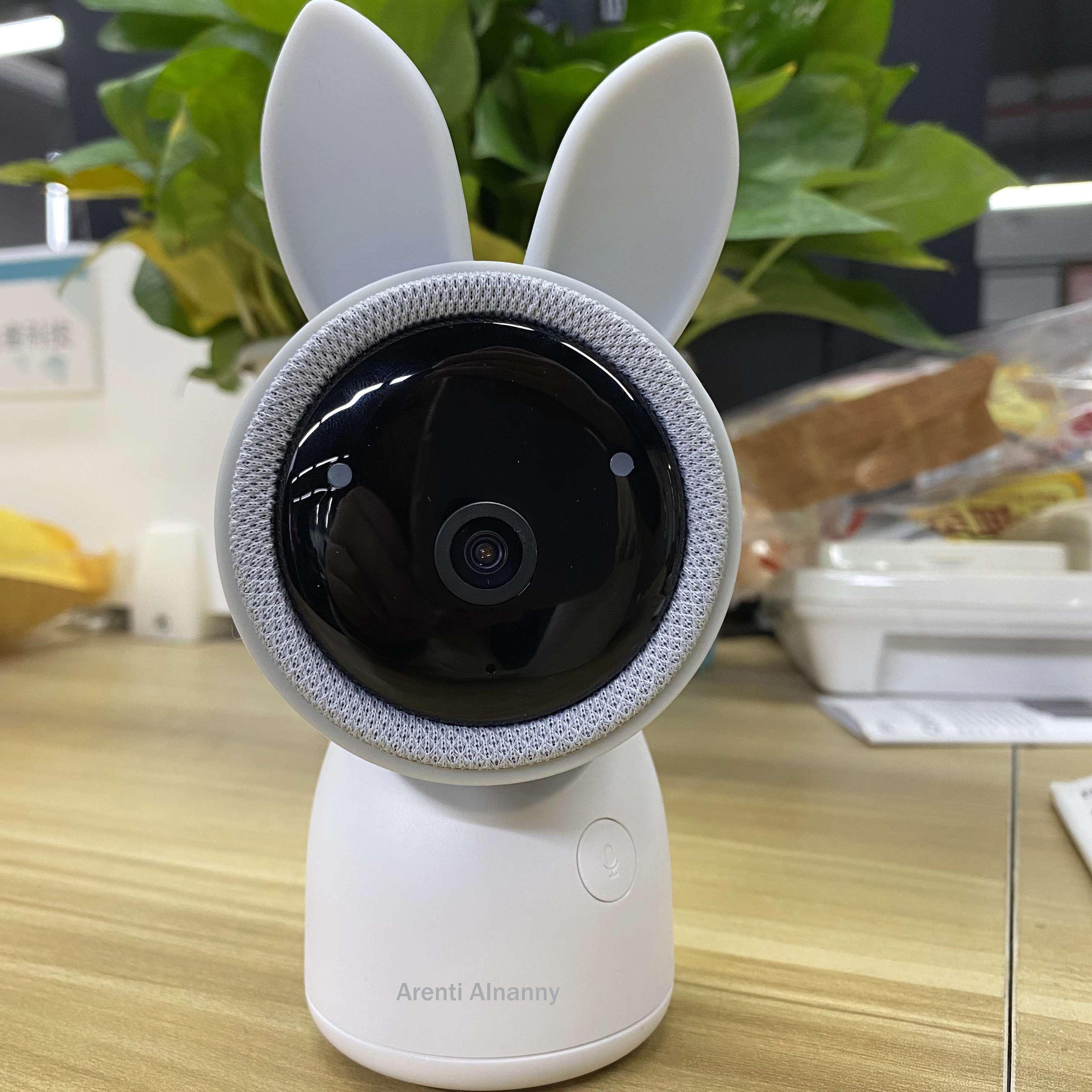 

Arenti Alnanny Baby Camera Baby Monitor High Resolution Security Camera Night Vision