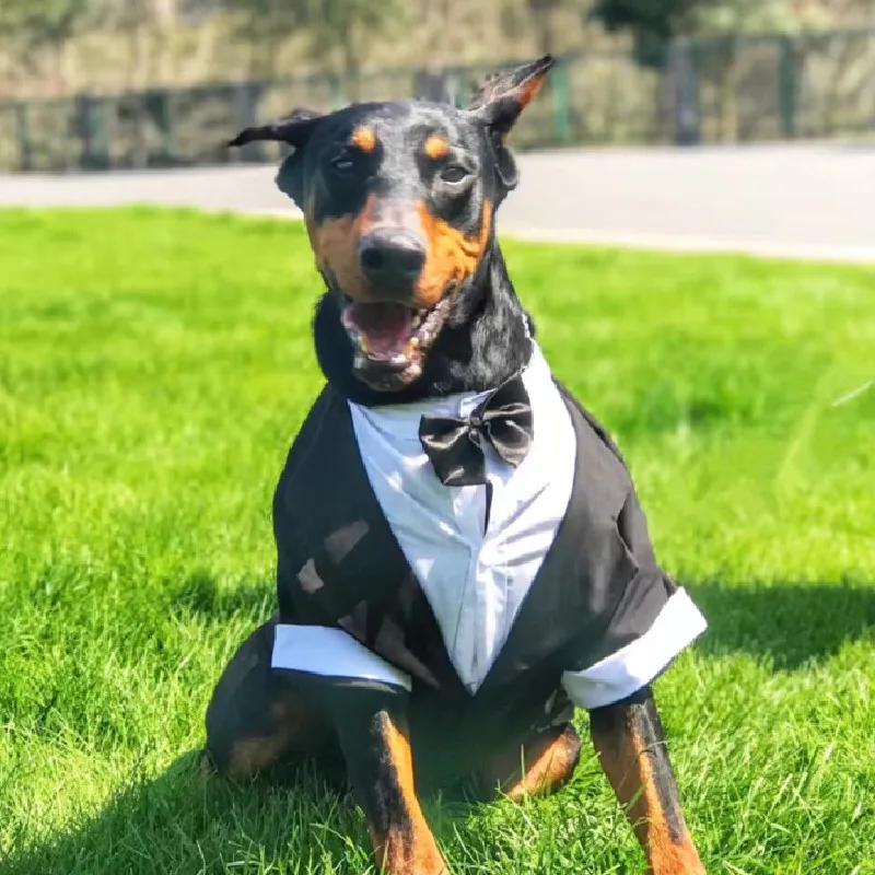 Dog Wedding Suit Big Dog Clothes Tuxedo Large Dog Formal Dress Welsh Corgi Samoyed Husky Golden Retriever Dobermann Clothing