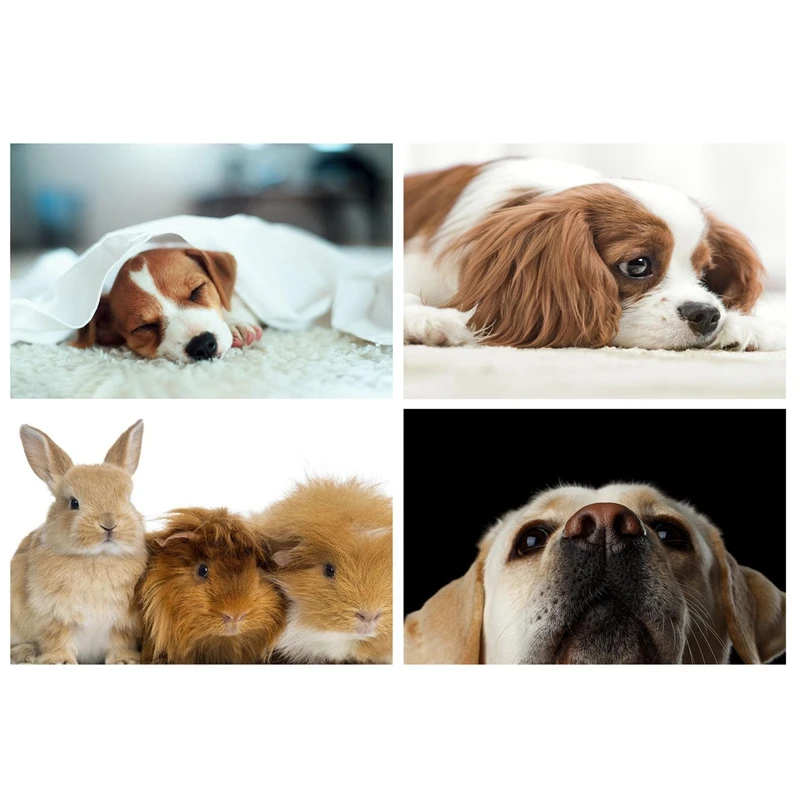 

Набор для алмазной живописи «сделай сам», 30 х40 см