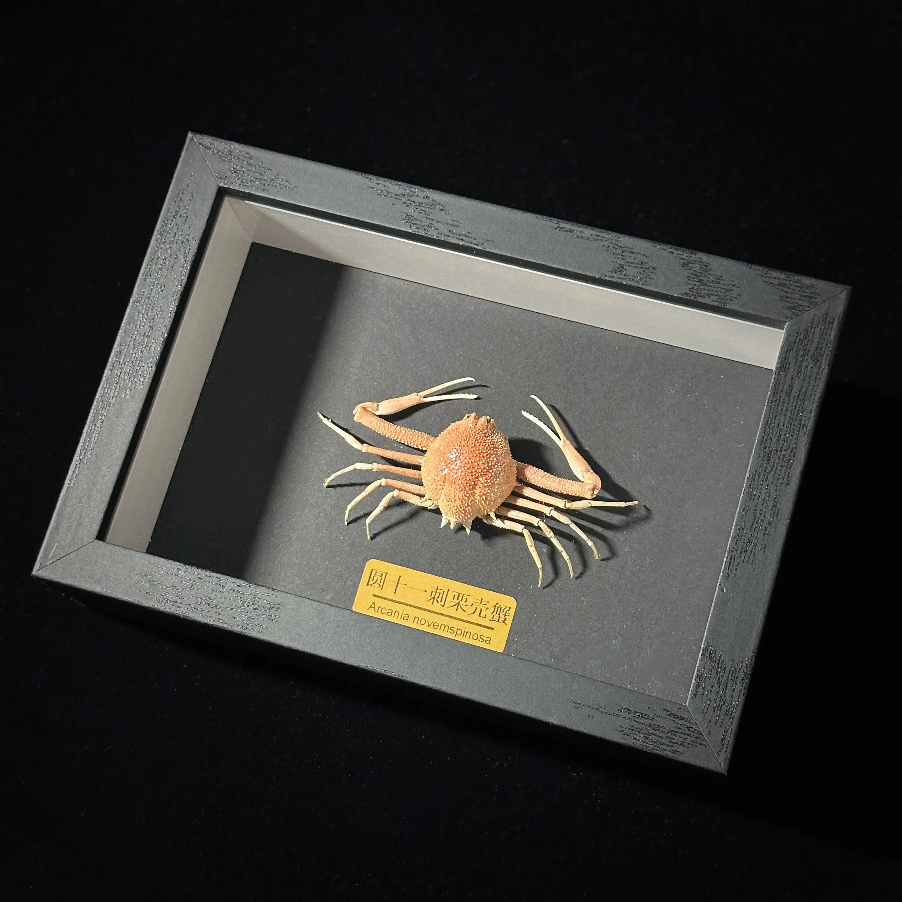 

Ручной работы краб из органического материала