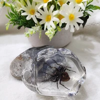 artificial amber ornament resin natural insect specimen scorpion chrysanthemum artificial crystal creative home table decoration