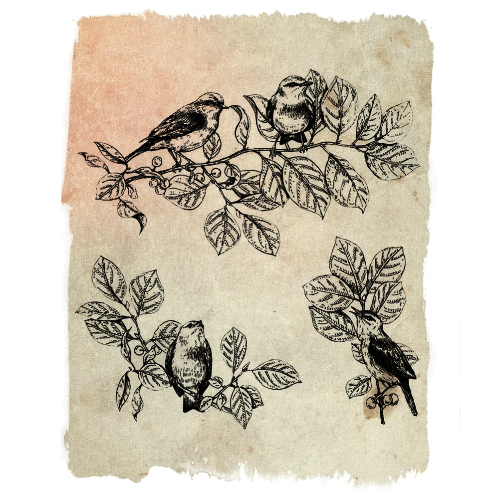 

Bird Series Transparent Clear Silicone Stamps for DIY Scrapbooking/Rubber Stamp Photo Album Decorative Card Making 14*14cm
