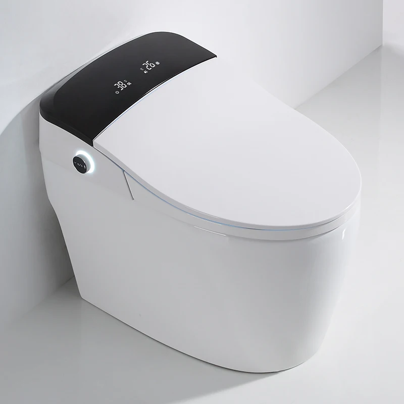 Modern Intelligent One Piece Automatic Bidet Toilet with Soft Closing Cover Floor Mounted Smart WC Accessories