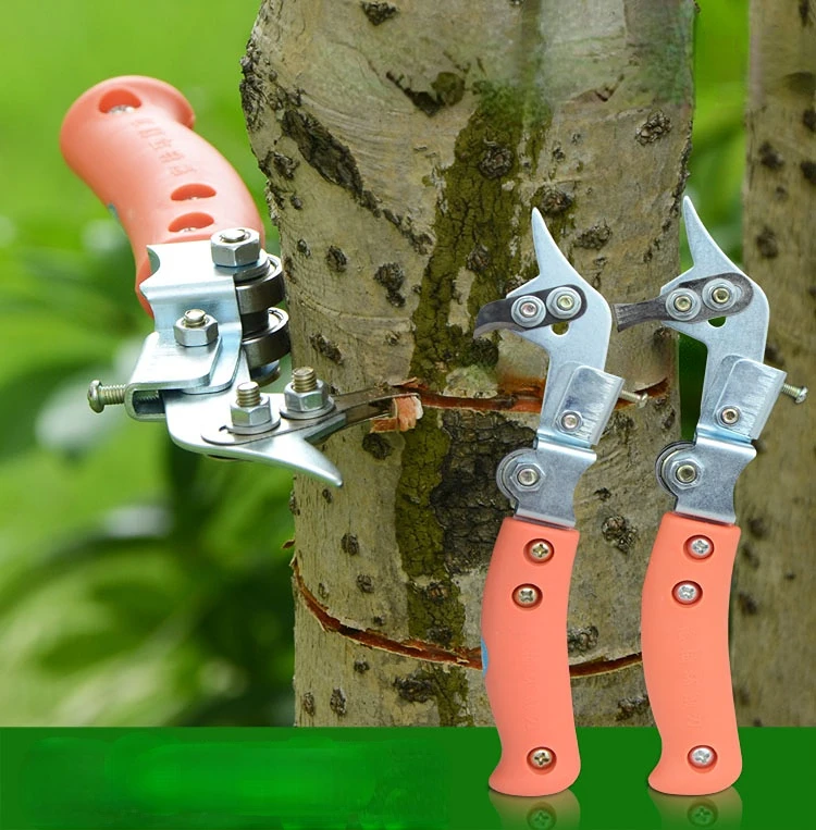 

Кольцевой резак для фруктового дерева, яблоко, груша, регулируемый размер, кольцевой резак, ветка, ножницы, аксессуары