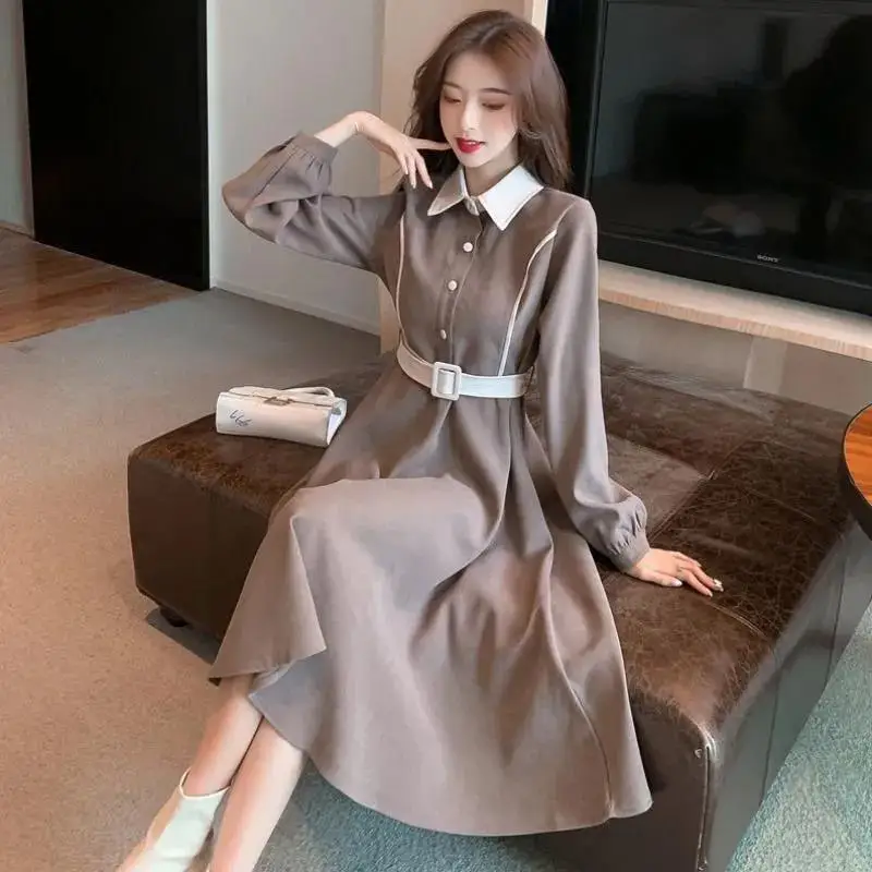 

Long Sleeve Dress Spring Autumn New Thicken Dress Velvet Button Design Women Clothing Elegant Office Lady A-Line Blouse Dress