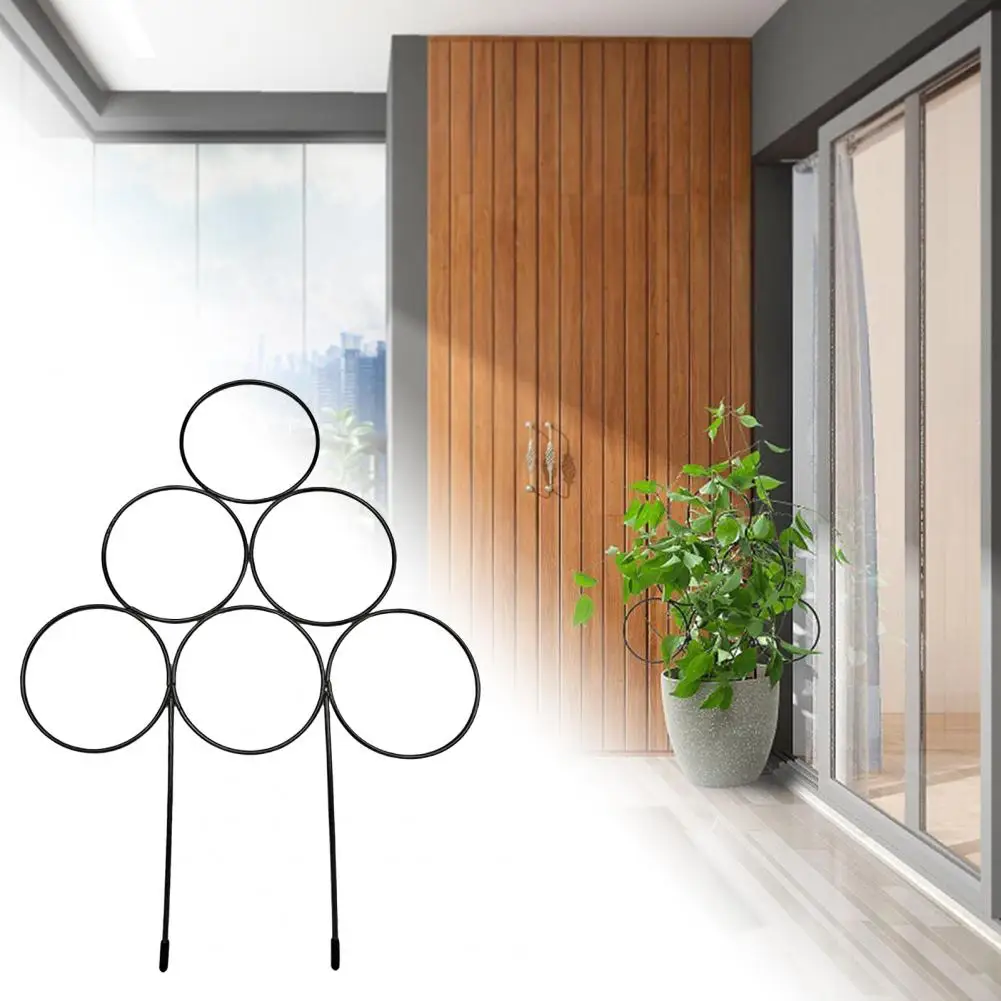 

Iron Trellis Black Coated Garden Trellis Gardening Tool Potted Plants Decorate Anti Rust Potted Plant Support Climbing Trellis