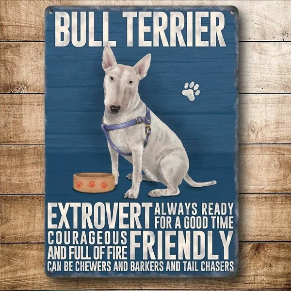 

Bull Terrier Dog Breed Vintage Metal Sign Pet Shop Home Garden Wall Decoration Metal Painting Metal Poster 20x30cm Poster 2021