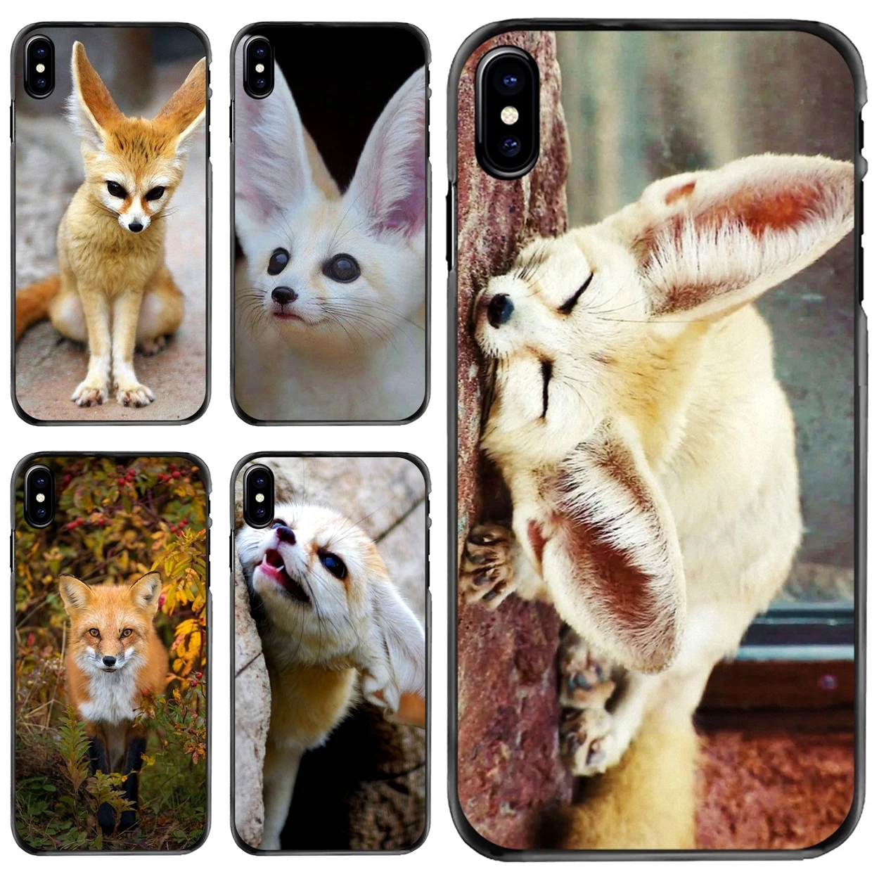 

Hard Phone Cover Case Vulpes zerda Fennec Fox Sahara For Apple iPhone 11 12 13 14 Pro MAX Mini 5 5S SE 6 6S 7 8 Plus 10 X XR XS