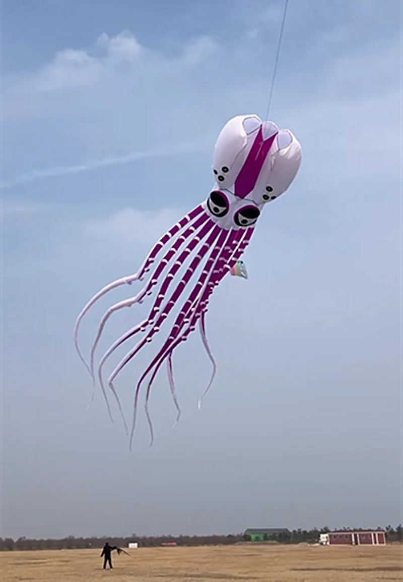 Бесплатная доставка большой воздушный змей-осьминог 20 м мягкий летающий змей для