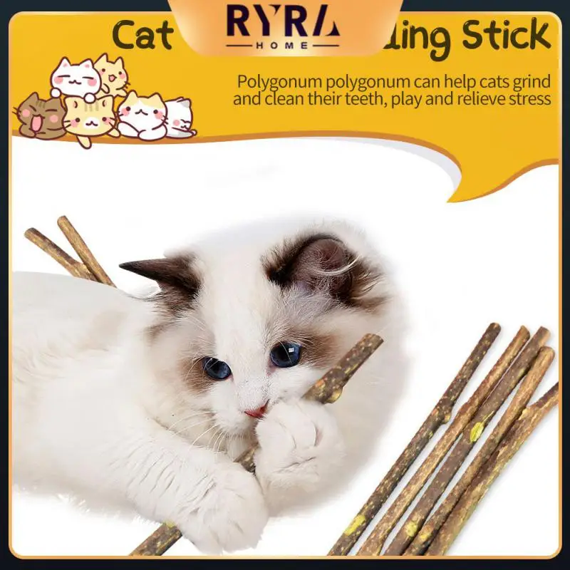 

Green Cat Snacks Sticks Clean Teeth No Additives Catnip Improve Appetite Natural Plants Pet Supplies Toys Healthy Cats Chew Toys