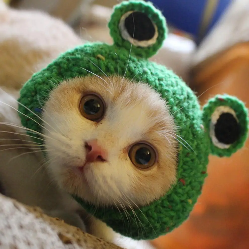 

Knitting Wool Pet Hat Cute Cat Headwear Frog Puppy Kitten Hat Handmade Winter Autumn Pet Cap Dog Cute Accessories For Cat Dog