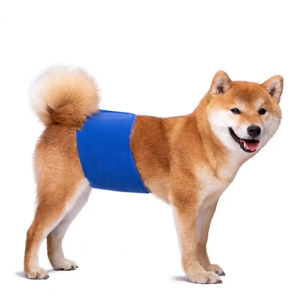

Reusable Fabric Diaper Dog Belly Band Physiological Pants for Summer