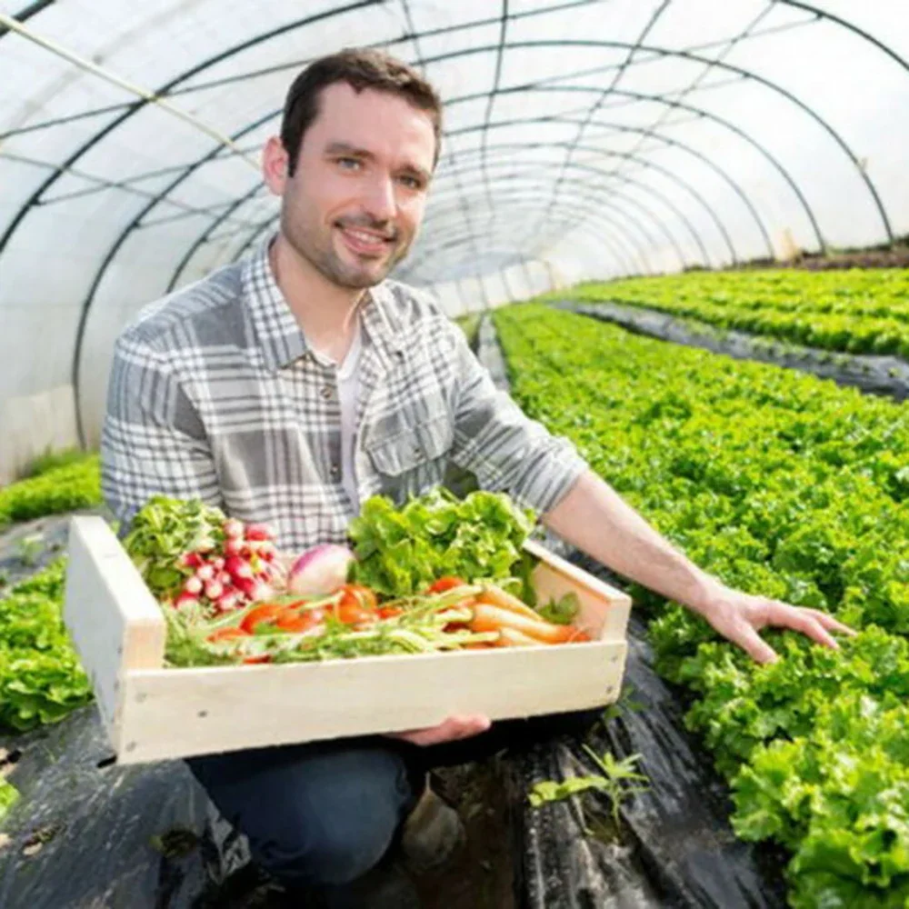 Тепличная пленка Прочная прозрачная полиэтиленовая тепличная для идеального