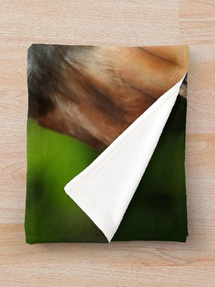 Фланелевое одеяло Red Tail Hawk Close Up Photo