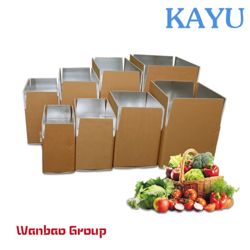 Wholesale Custom Size Refrigerated Insulation Degradable Heavy Duty Insulated Shipping Boxes For Frozen Food