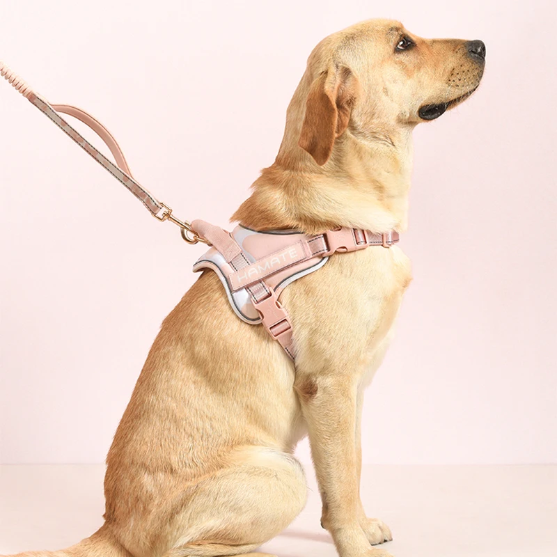 

Pet Supplies Neck Harness Fashion No Pull Leash Pectoral for A Medium Big Dog Straps Leashes Dogs Belt Breast-band Chest Vests