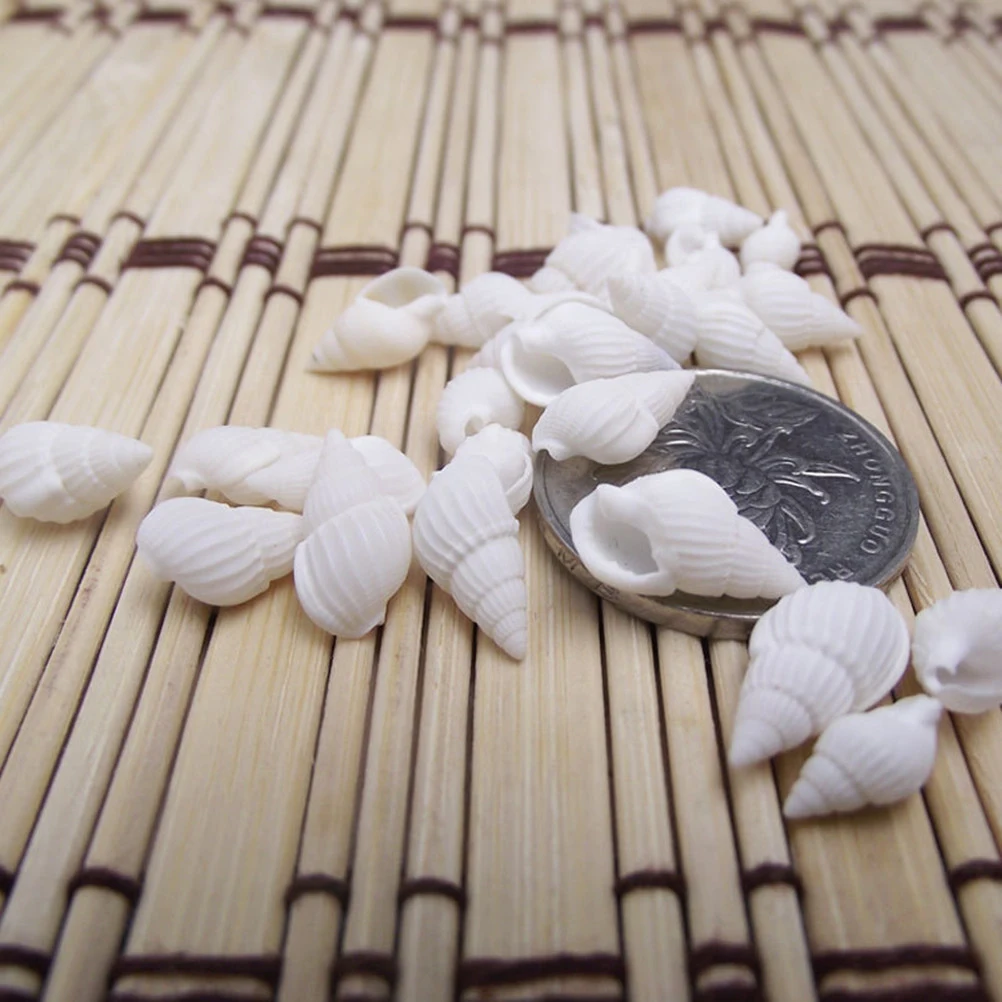 

Shells Sea Shell Seashells Decor Conch Mini Conches Wedding Crafts Ornaments Home Natural Table Beach Decorating Ocean Large