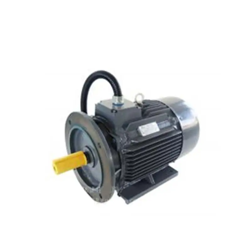 

TYP series permanent magnet motor for air compressor