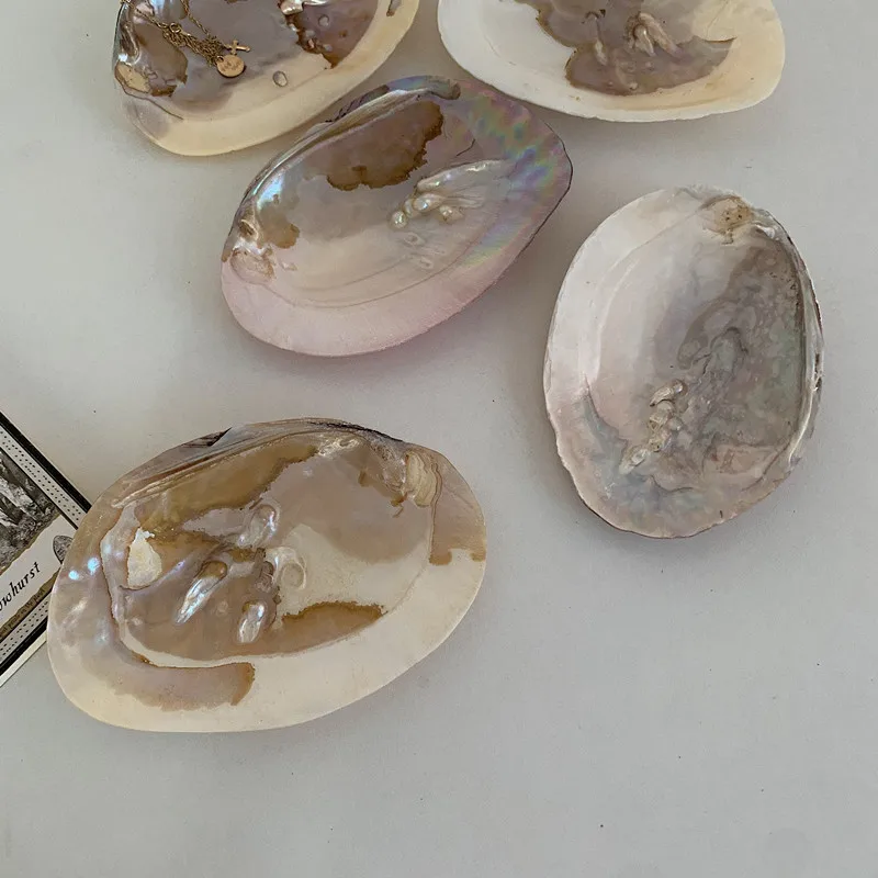 

Nordic Ins Pearl Shell Table Tray Trinket Perfume Cosmetic Decorative Tray Wedding Makeup Bathroom Jewelry Storage Tray