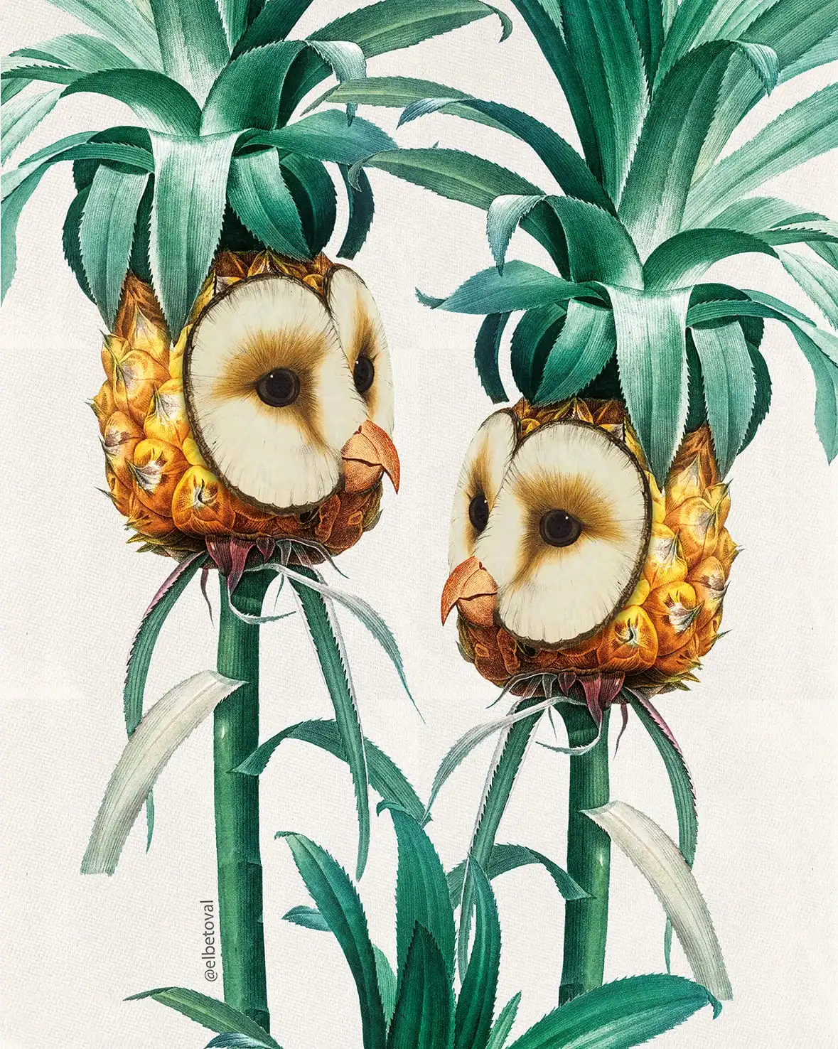 Картина на холсте с животными растениями рамкой птица рыба попугай Зеленый лист