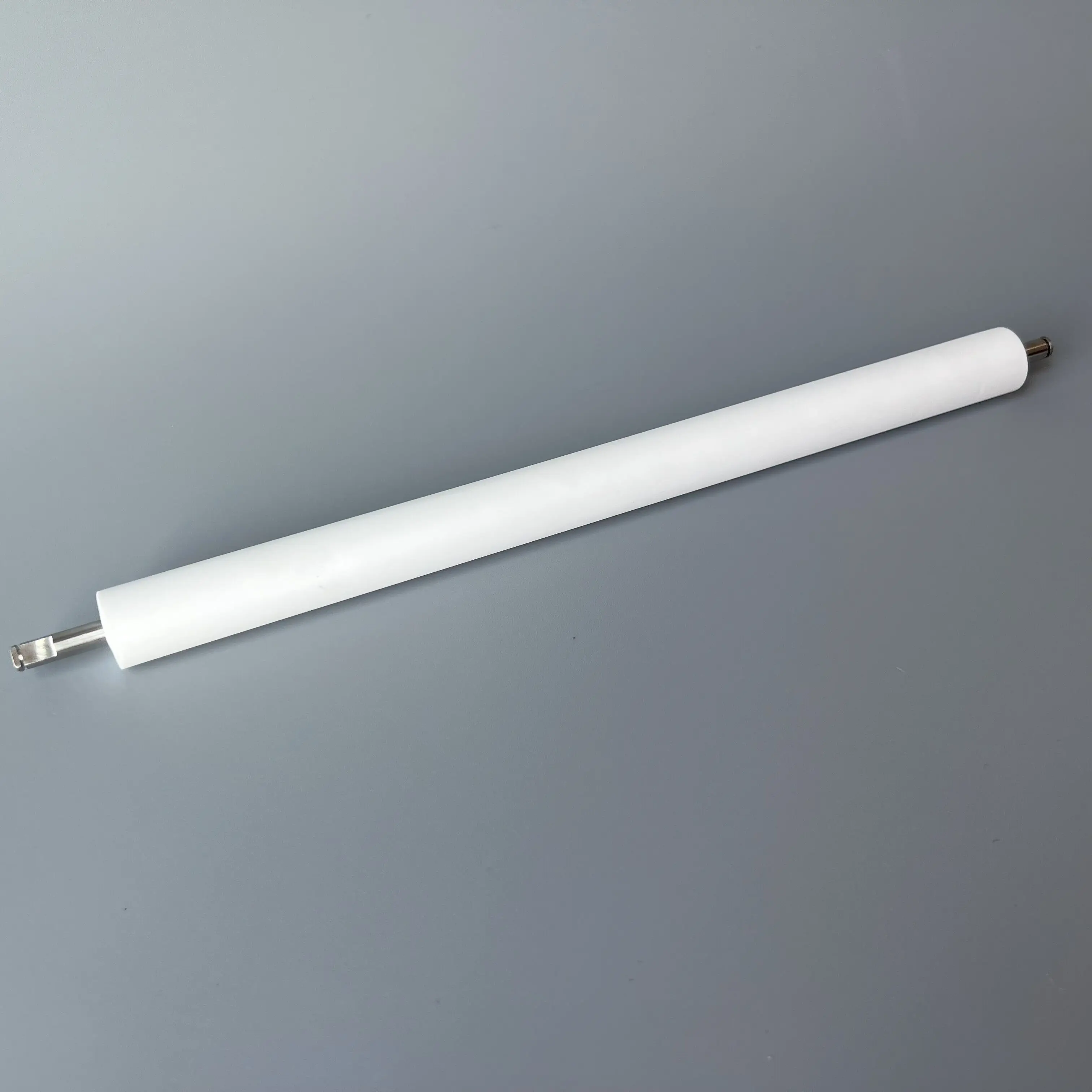 Bibulous roller A035192 A041376