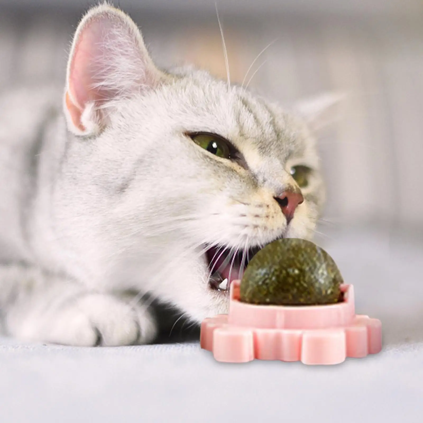 

Cat Catnip Toys Ball Healthy Cat Candy Licking Snacks Nutrition Catnip Snack Nutrition Energy Ball Kitten Cat Toy Cat Supplies