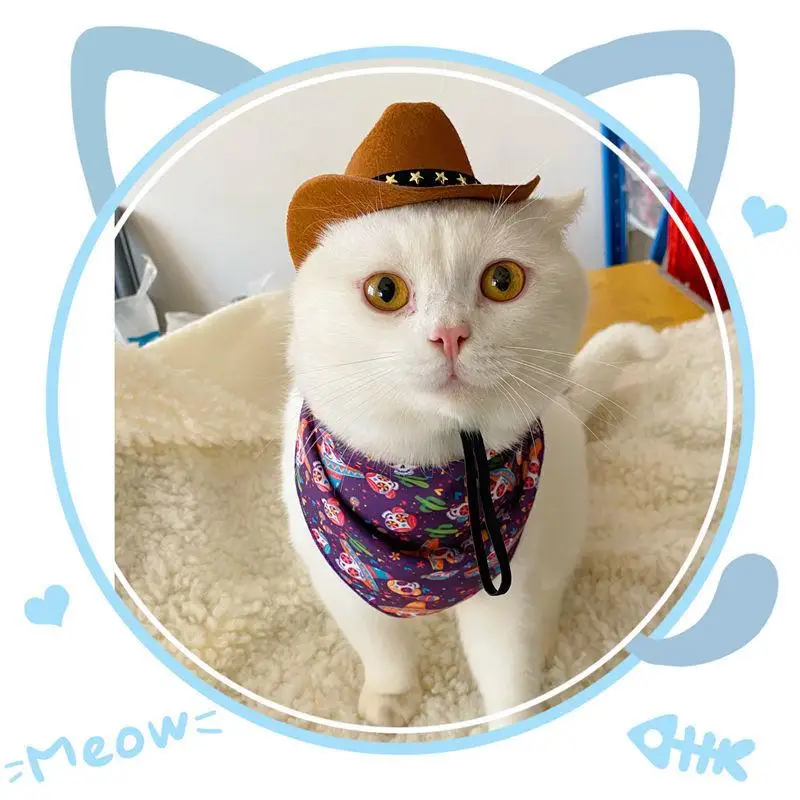 Non-woven Fabric Stylish Pets Star Cowboy Hat Soft Comfortable Adjustable Straps Caps Photo Props For Cats Dogs Dropshipping