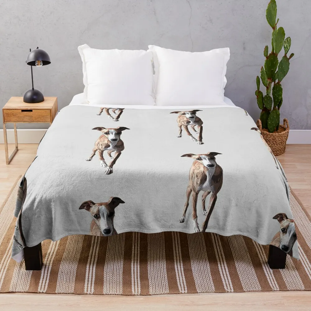 

Одеяло Whippet для взрослых, модное одеяло для дома и офиса, моющееся, всесезонное, одеяло из шерпы