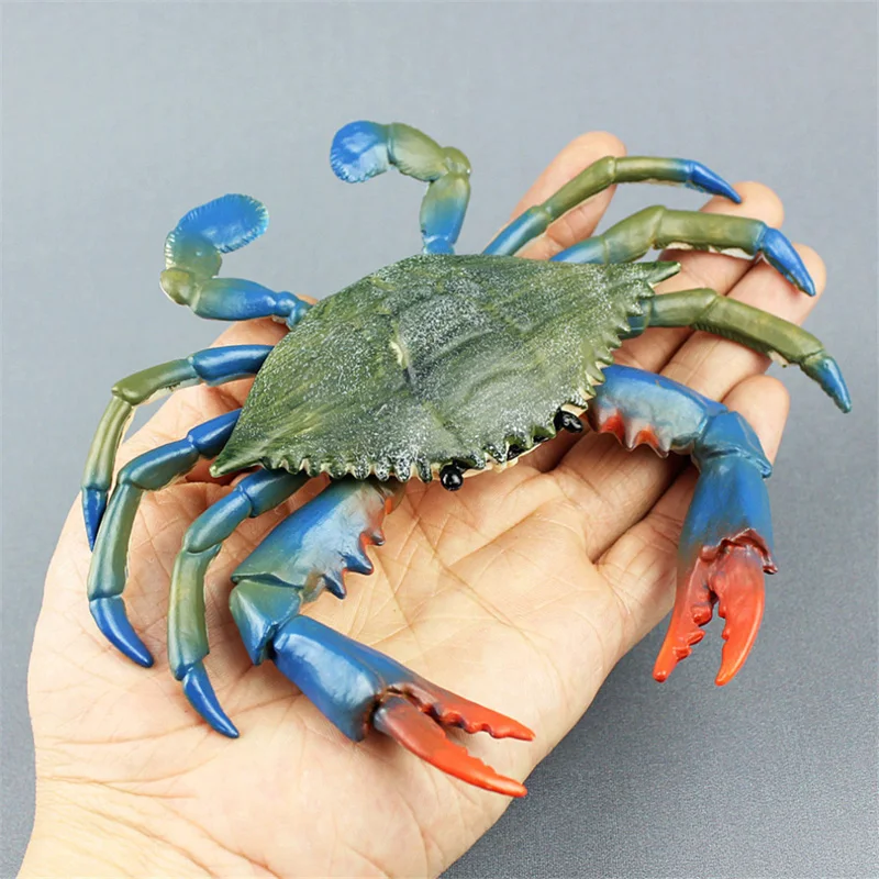 

Simulation Mini Crab Child Figurine Animal Collection Model Home Decor Kids Toys Realistic Sea Animal Modern Model Accessories