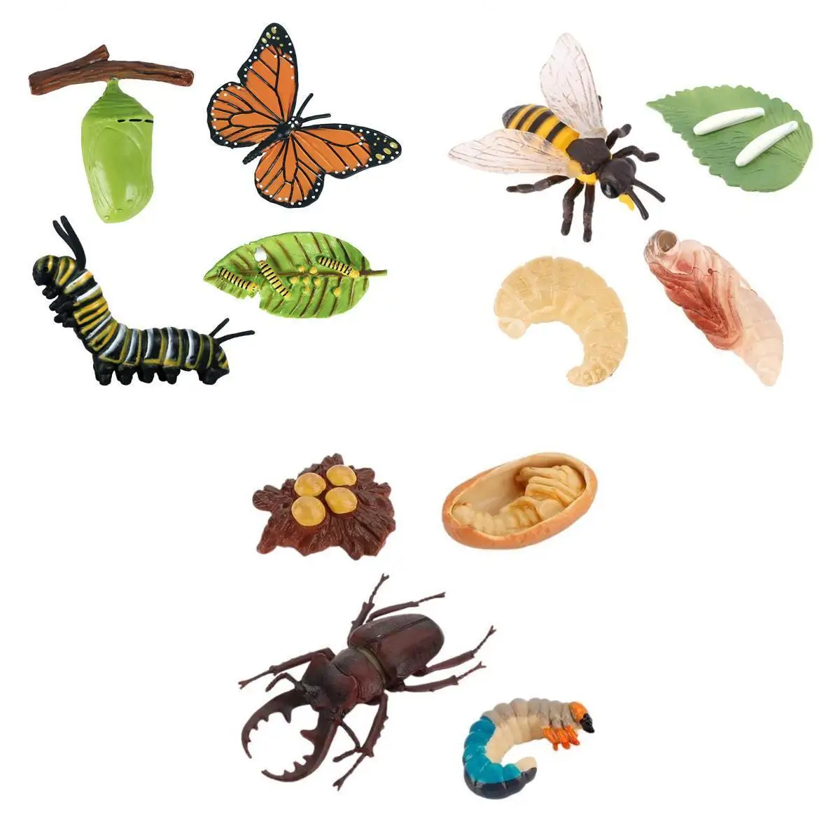 4-сценический жизненный цикл модель игровой набор детские обучающие игрушки для