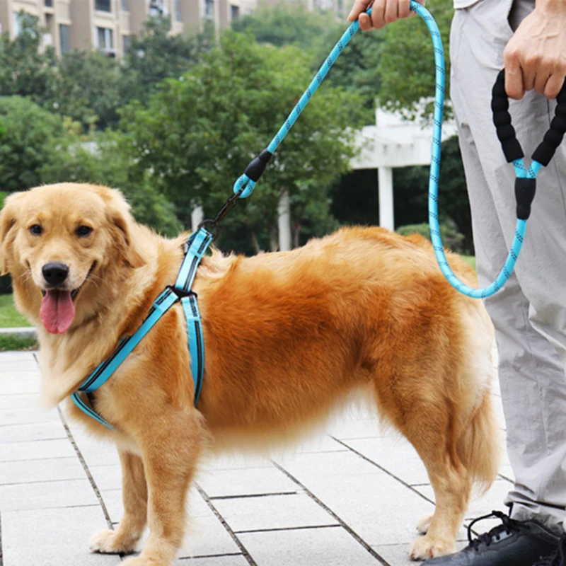 

1.5M Nylon Training Dog Leash With Comfortable Padded Handle Heavy Duty Training Durable Nylon Rope Leashes for Teaching