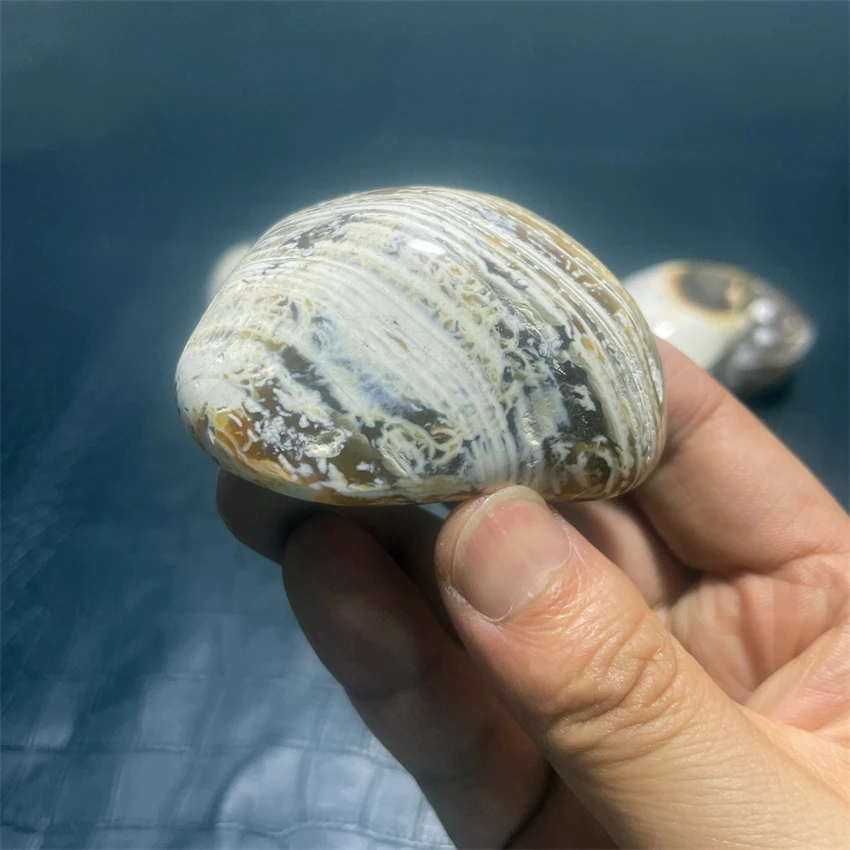 Натуральные кристаллы океанская яшма свободная форма красочное высокое