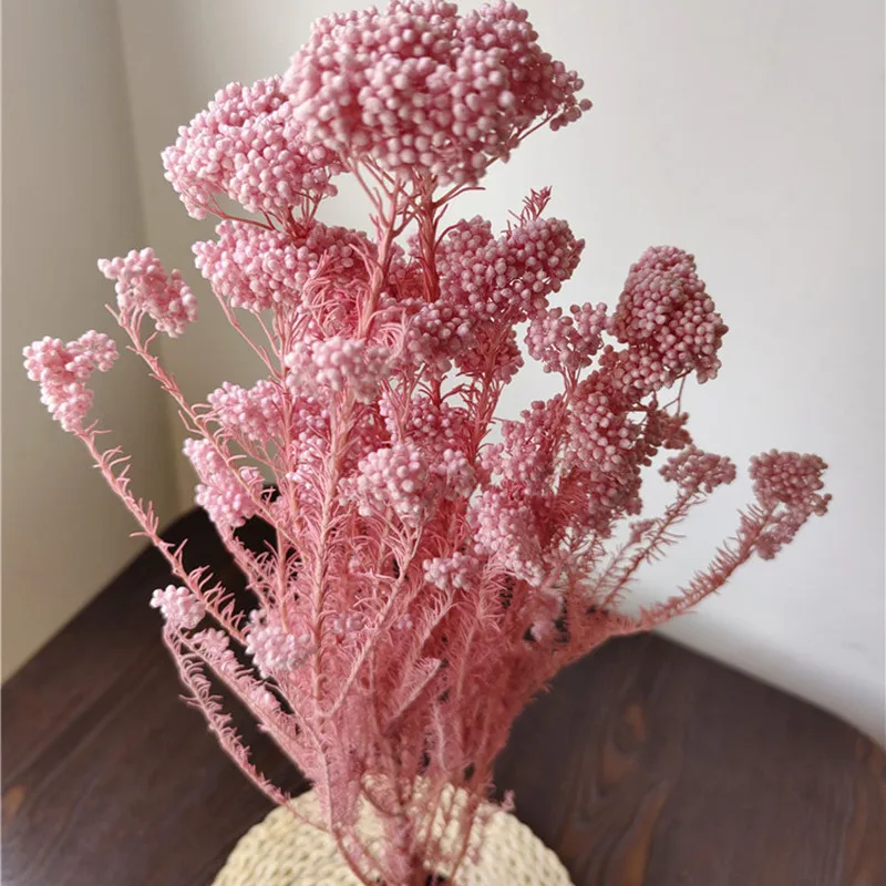 50g Natural Millet Fruit Dried Flower   living Room Decoration Wedding Decoration Bedroomwall Artificial Plants For Decoration images - 6