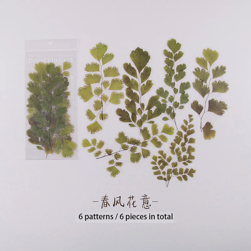 

6 листов наклеек Книга счастья Коллекционирование Декоративные наклейки для домашних животных Печать для DIY дневника альбом для скрапбукин...