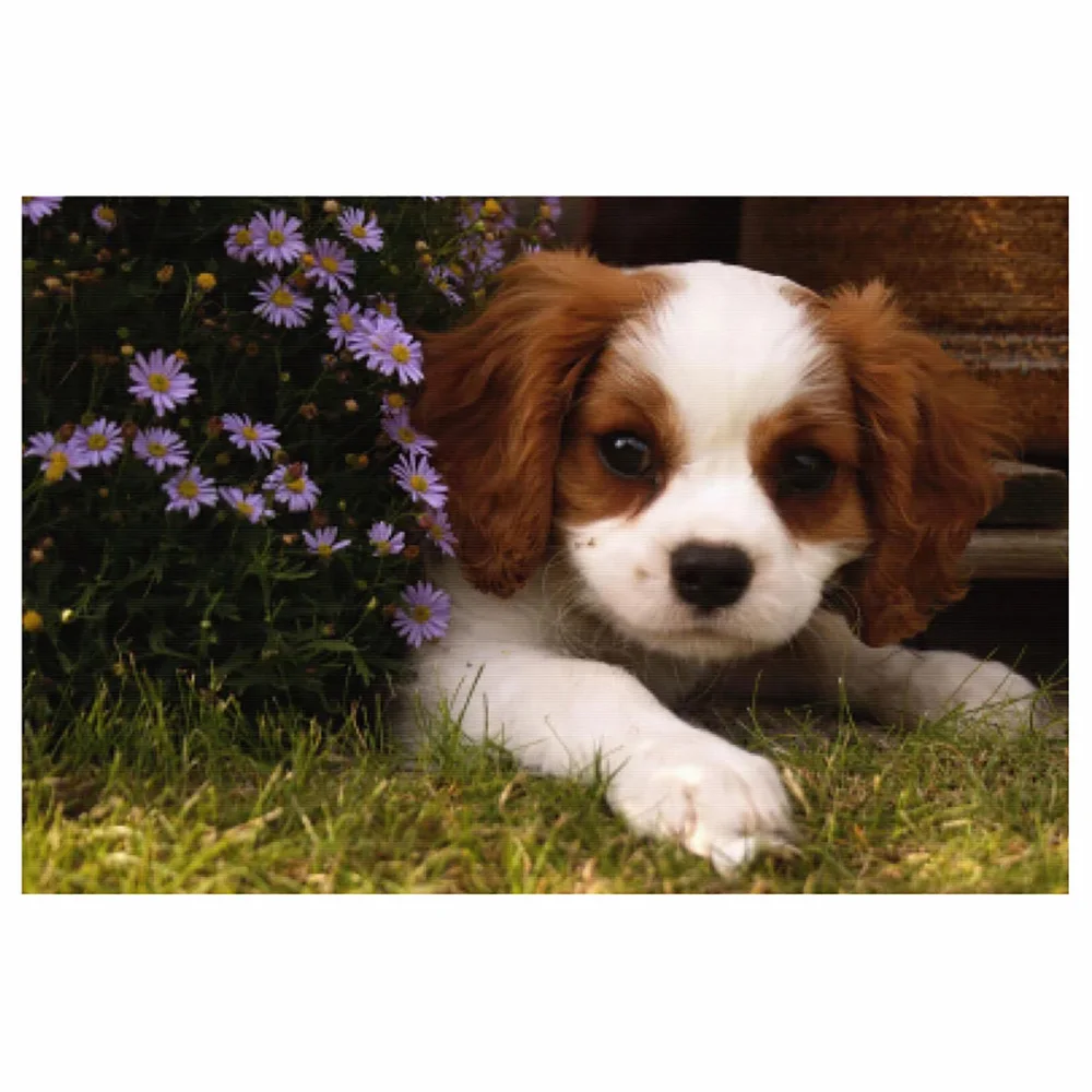 

5D DIY Cute Dog Animal Diamond Painting Square/Round Rhinestone Hobby Crafts Mosaic Handmade Gifts Cross Stitch Home Decor